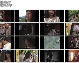 混浴露天風呂連続殺人・湯けむりに消えた女三人旅・田沢湖から乳頭温泉へ封面图