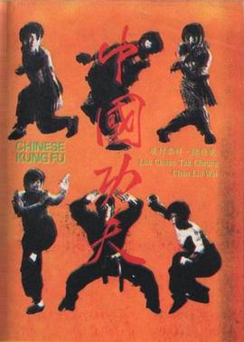 中国功夫封面图