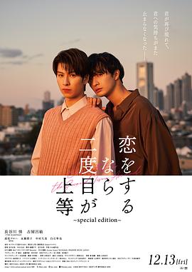 第二次恋爱才完美 特别版本封面图