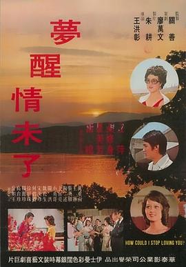 梦醒情未了封面图