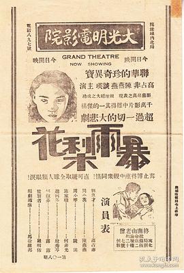 暴雨梨花封面图