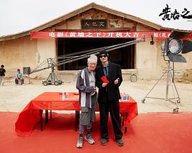 黄墙之下封面图