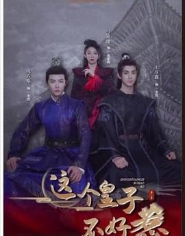 这个皇子不好惹封面图
