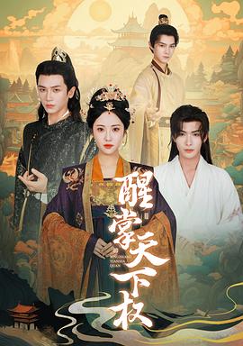 醒掌天下权封面图