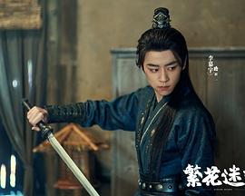 繁花迷梦封面图