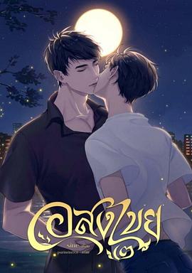 无尽情爱封面图