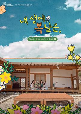 我人生的伏天封面图