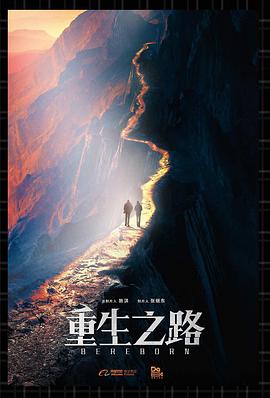 重生之路封面图