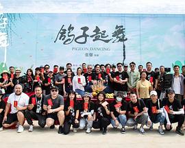 鸽子起舞封面图
