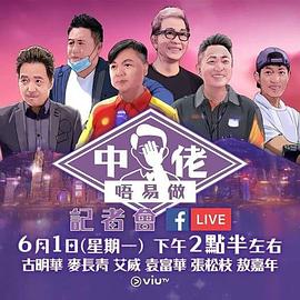 中佬唔易做封面图