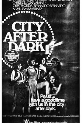 夜幕下的马尼拉封面图