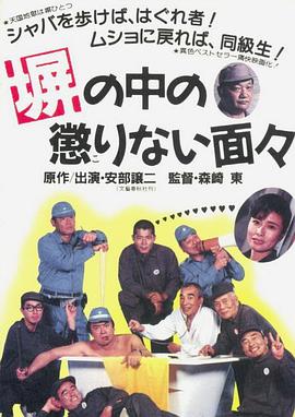 撞了南墙也不回头封面图