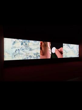 锂矿湖与复音孤岛封面图