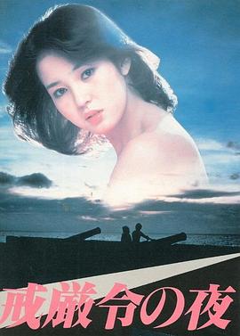 戒严令之夜封面图