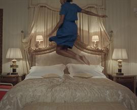 学飞的鱼封面图