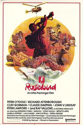 玫瑰花恋封面图