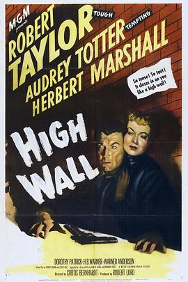 铜墙铁壁封面图