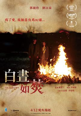 白昼如焚封面图
