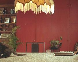 Miss Fortunate封面图