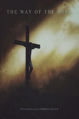 风之所向封面图