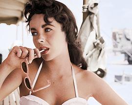 伊丽莎白·泰勒：遗失的录音带封面图