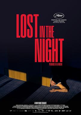 迷失暗夜封面图