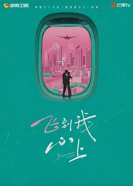飞到我心上封面图