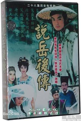 说岳后传封面图