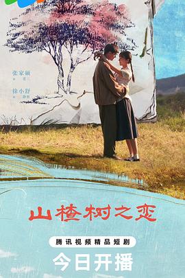 山楂树之恋封面图