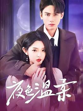 夜色温柔封面图