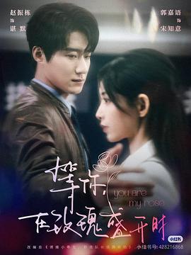 等你，在玫瑰盛开时封面图