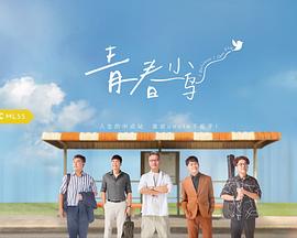 青春小鸟封面图