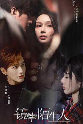 镜中陌生人封面图