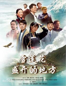 雪莲花盛开的地方封面图