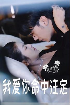 我爱你命中注定封面图