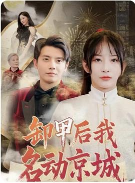 卸甲后我名动京城封面图