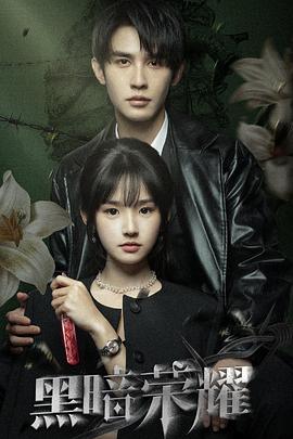 黑暗荣耀封面图