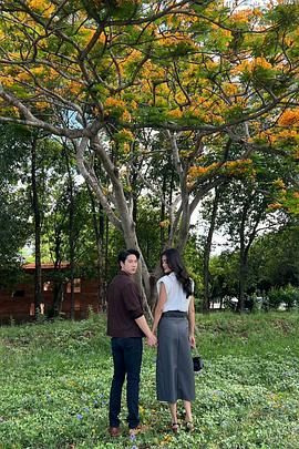 新偷心俏冤家封面图