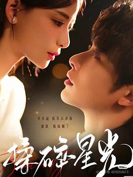 揉碎星光封面图