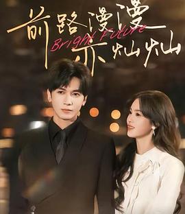 前路漫漫亦灿灿封面图