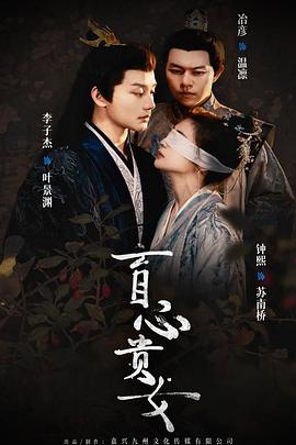 盲心贵女封面图