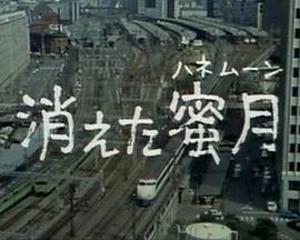 消失的蜜月封面图