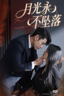 月光永不坠落封面图