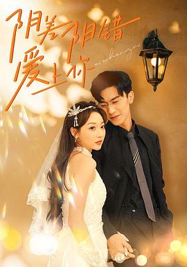 阴差阳错爱上你封面图