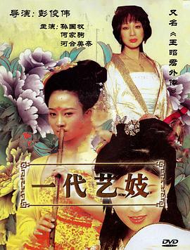 王昭君外传封面图