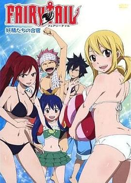 妖精的尾巴 OAD4：妖精们的合宿封面图