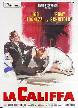 嘉莉珐夫人封面图