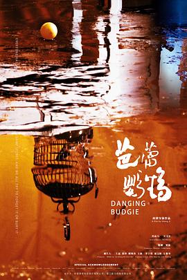 芭蕾鹦鹉封面图