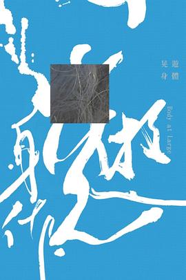 晃游身体封面图