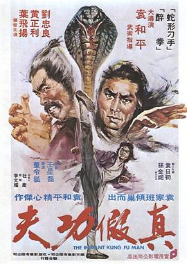真假功夫封面图